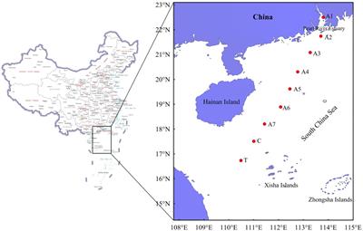 Distribution, community structure and assembly patterns of phytoplankton in the northern South China Sea